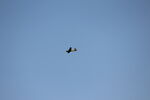 N689U @ 2OH9 - 2024 Caesar Creek Youth Soaring Association Youth Education Camp