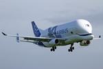 F-GXLI photo, click to enlarge F-GXLI photo, click to enlarge