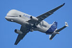 F-GXLG photo, click to enlarge F-GXLG photo, click to enlarge