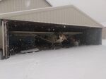 N27807 @ 2OH9 - Snow and the Cub - by Jack N. Derrickson
