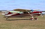 N8031A @ C37 - Cessna 170B - by Mark Pasqualino