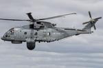 ZH831 photo, click to enlarge