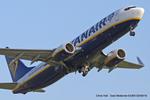 EI-GDZ photo, click to enlarge EI-GDZ photo, click to enlarge