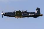 ZM329 photo, click to enlarge