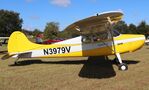 N3979V @ 97FL - Cessna 170 - by Mark Pasqualino