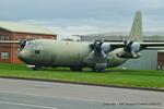 XV202 photo, click to enlarge XV202 photo, click to enlarge
