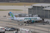N390FR @ RDU - Juan the Puerto Rican Parrot at a gate at T2. - by Ryan Hunt