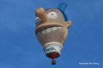 PH-BEK - At Lochristi Balloonmeeting. - by Raymond De Clercq
