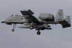 78-0697 - Landing - by Roberto Cassar