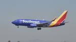N770SA @ KLAX - Landing at LAX on 24R - by ToddRoyer