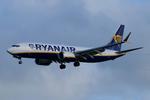 EI-IKE @ EGSH - Landing at Norwich. - by Graham Reeve