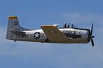 G-TROY photo, click to enlarge G-TROY photo, click to enlarge