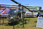 N4250A @ KLAL - Bell 47D-1, painted to resemble US Army OH-13H - by AviationLover50