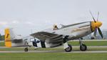 N251CS @ KOSH - F-51D Charlotte's Chariot II - by AviationLover50