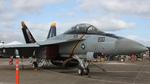 166620 @ KNTU - F/A-18F - by AviationLover50