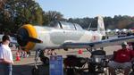 N4294X @ KFFC - CJ-6A - by AviationLover50