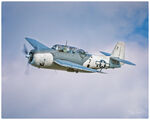 N9548Z @ KPAE - Ida Red - by Terry Green