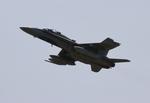 188938 @ KOSH - RCAF CF-188 zx  - by FloridaMetal