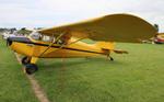 CF-JKF @ KOSH - Aeronca 11CC zx  - by FloridaMetal
