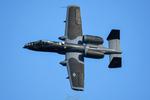 80-0244 @ KOSH - Black Mamba Demo jet - by topgunphotography