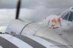 G-BKGL @ EGBR - Breighton - by Chris Hall