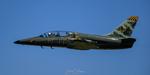 N976BH @ KOSH - Oshkosh 24 - by topgunphotography