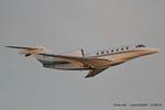 D-BEAR @ EGGW - Luton - by Chris Hall