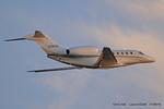 D-BEAR @ EGGW - Luton - by Chris Hall