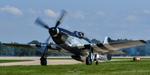 N51HR @ KOSH - Quick Silver - by topgunphotography