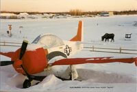 N104SF @ 95Z - 1997 T-28 N104SF at Arctic Warbirds, North Pole, Alaska - by Dolores Noyes