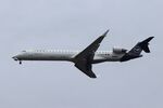 D-ACNX @ EDDF - CL-600-2D24