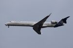D-ACNW @ EDDF - CL-600-2D24