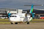 EI-GPN photo, click to enlarge EI-GPN photo, click to enlarge