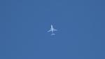 N814NV - Allegiant 737 MAX 8-200 AAY2953 KBMI-KSFB - by AviationLover50