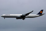 D-AIHW @ EDDF - Landing - by micka2b