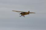 N77500 @ 40I - Cub on Skis