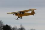 N77500 @ 40I - Cub on Skis