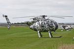 G-DIGZ @ X4NC - North Coates - by Chris Hall