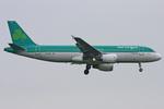 EI-DVL photo, click to enlarge EI-DVL photo, click to enlarge