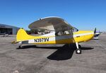 N3979V @ KSEF - Cessna 170 - by Mark Pasqualino