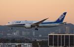 JA806A @ KLAX - ANA 788 zx hnd, rjtt-lax - by FloridaMetal