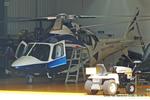 G-TRNG photo, click to enlarge