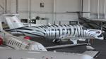 N6FZ @ KPDK - Zebra-livery PC-12/45 - by AviationLover50