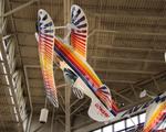 N41ET @ WS17 - Cristen Eagle zx  - by FloridaMetal