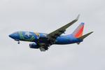 N727SW @ KPIT - Southwest #3845 KMYR-KPIT - by Alex2095