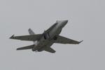 163446 @ KPGD - US Navy TACDEMO performs in the Florida International Air Show at the Charlotte County Airport