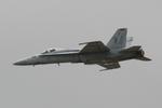 163446 @ KPGD - US Navy TACDEMO performs in the Florida International Air Show at the Charlotte County Airport