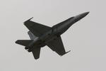 163446 @ KPGD - US Navy TACDEMO performs in the Florida International Air Show at the Charlotte County Airport