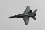 163446 @ KPGD - US Navy TACDEMO performs in the Florida International Air Show at the Charlotte County Airport