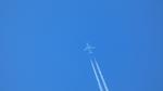 G-JZHB - Jet2 - by Eddyag